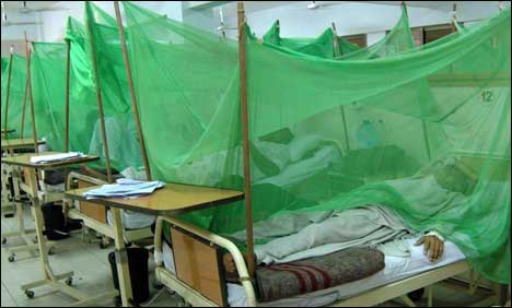 The number of dengue-affected patients in Karachi exceeded from 1050