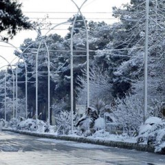 Quetta have First Snowfall of the Winter