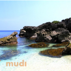 Island Living: How Much For Your Own Slice of Paradise?